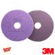 3M's 16 Purple Diamond Maintainer Floor Pad 