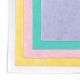 Mighty Wipes Multi Purpose Cleaning Cloth Pack/10